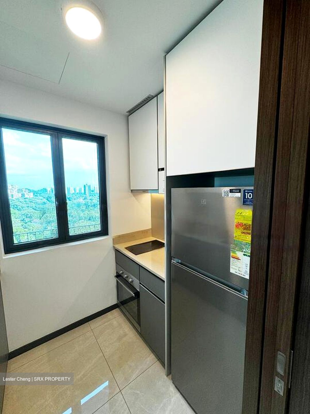 Normanton Park (D5), Apartment #480713371